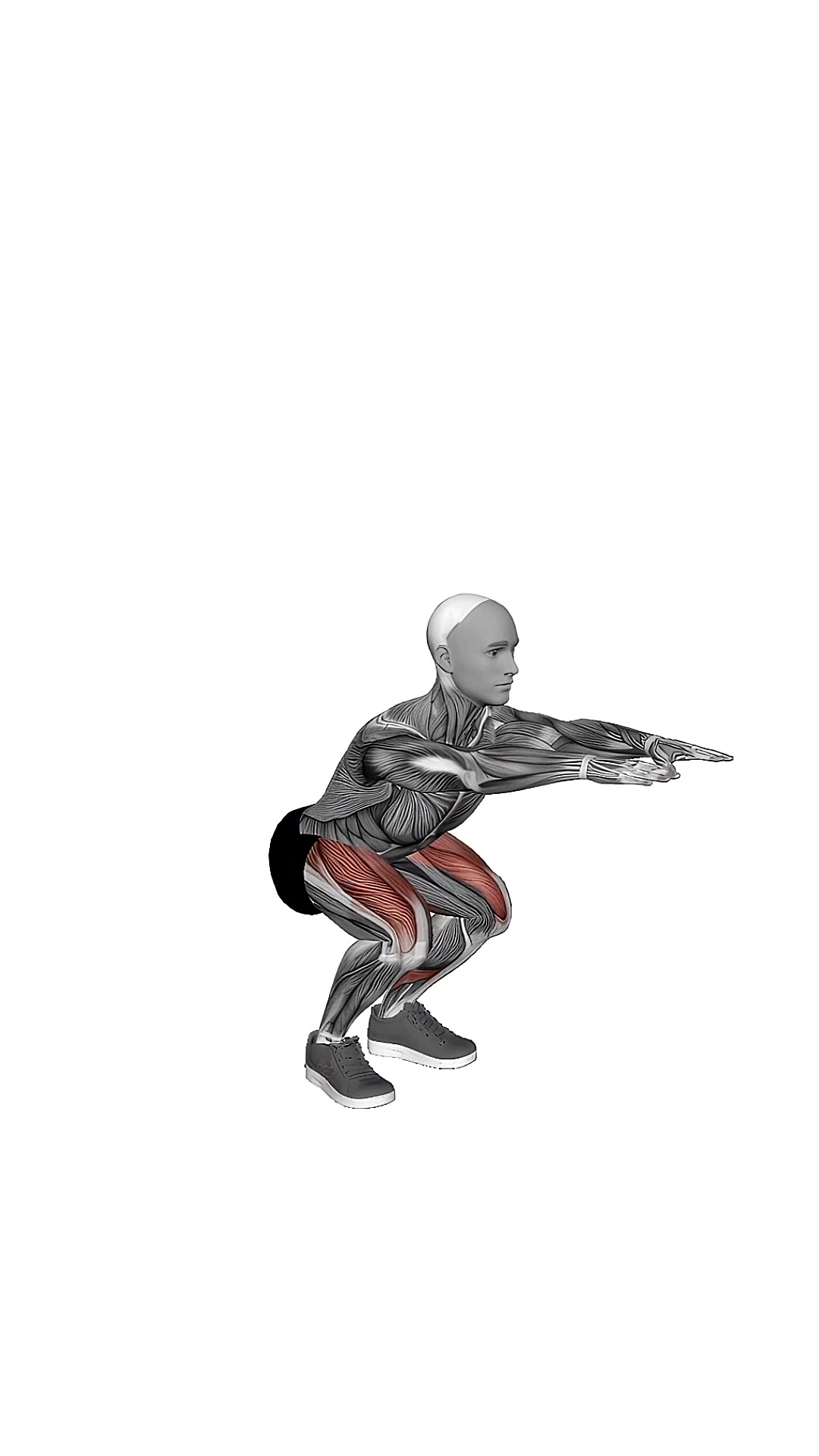 Bodyweight Squat