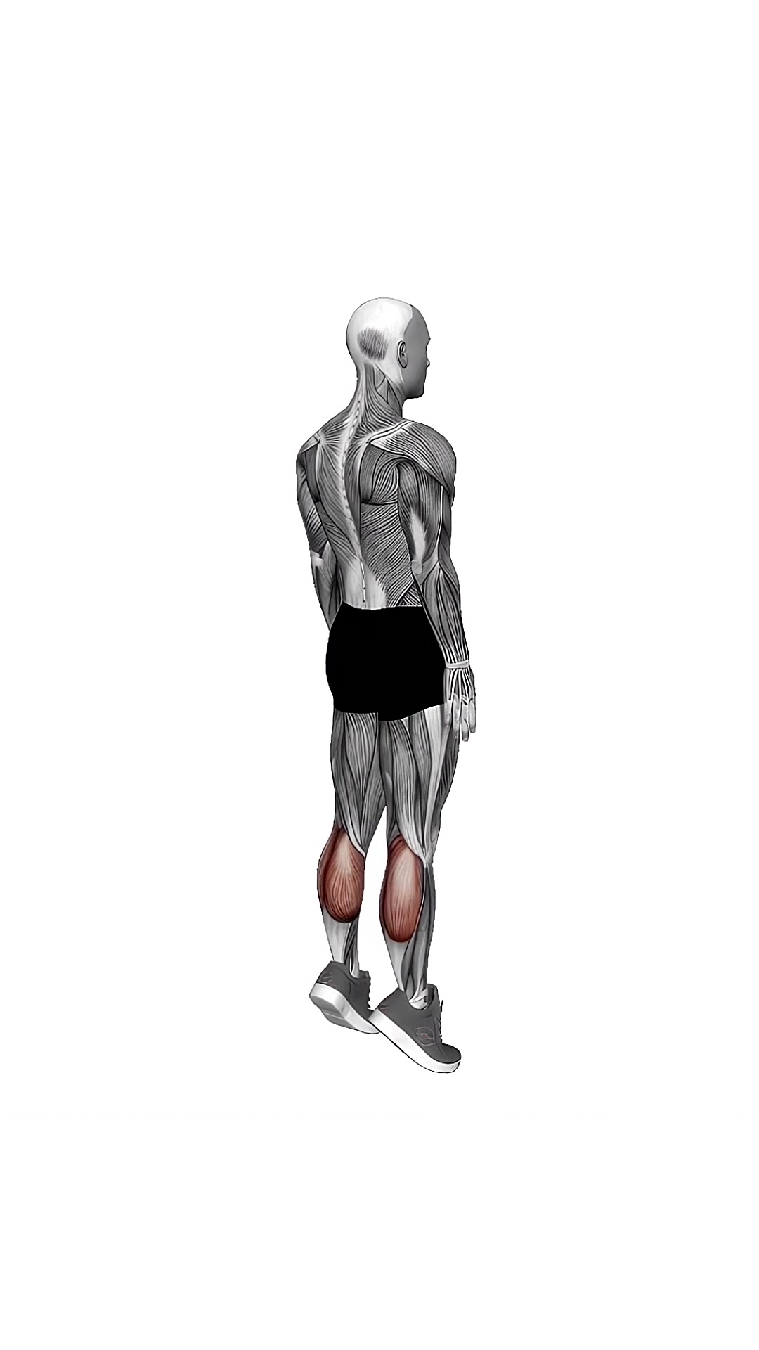 Bodyweight Standing Calf Raise