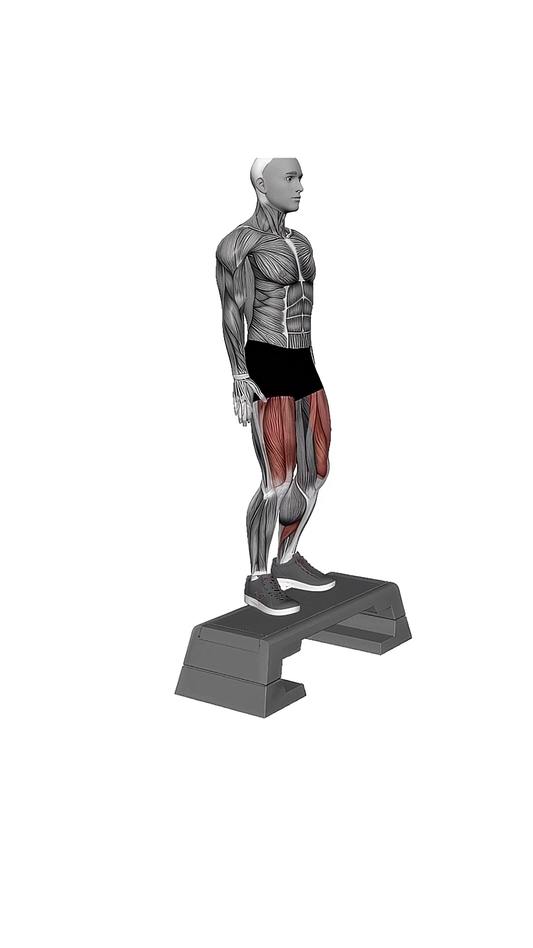 Bodyweight Step-up On Step Box