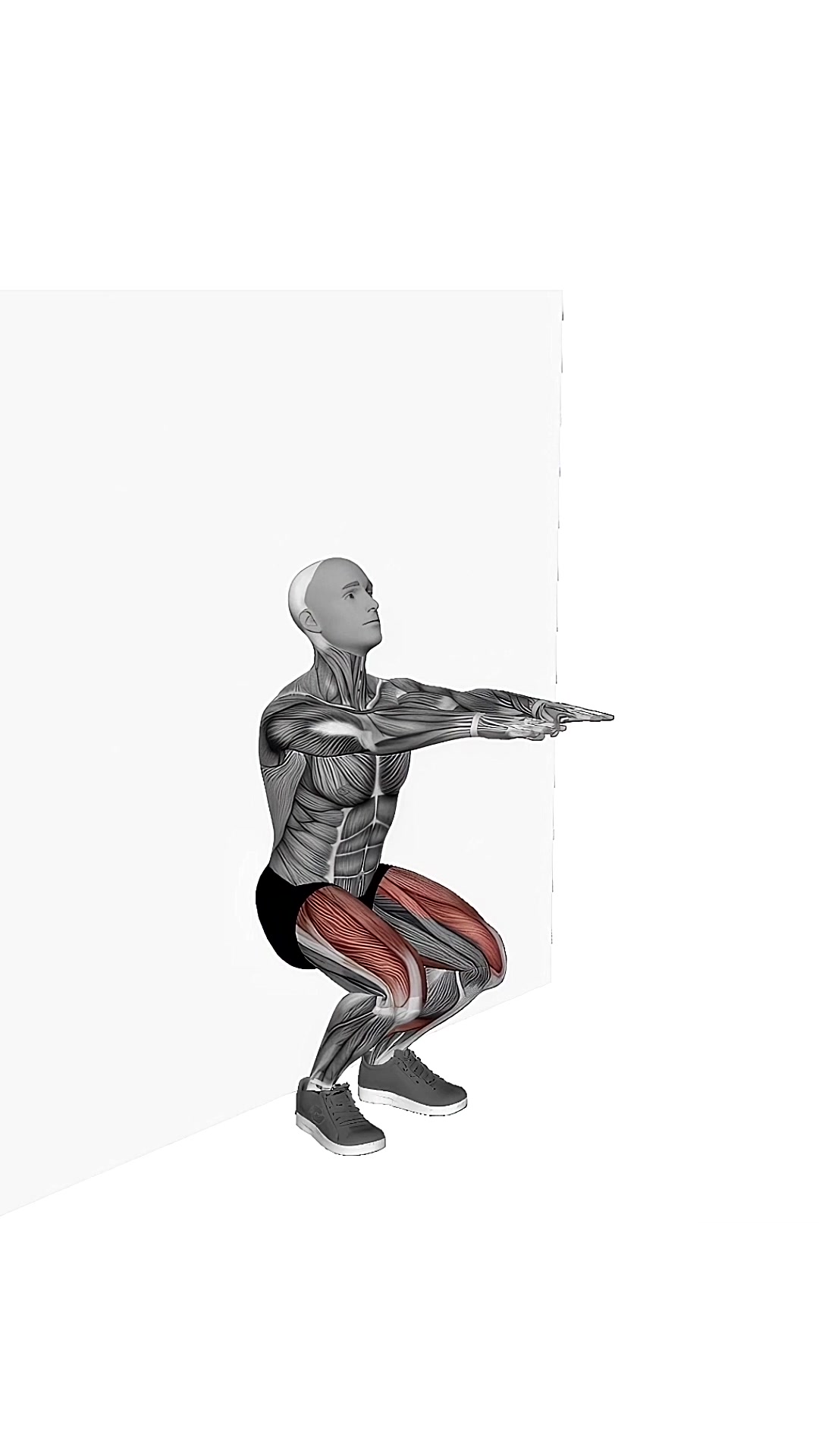 Bodyweight Wall Squat