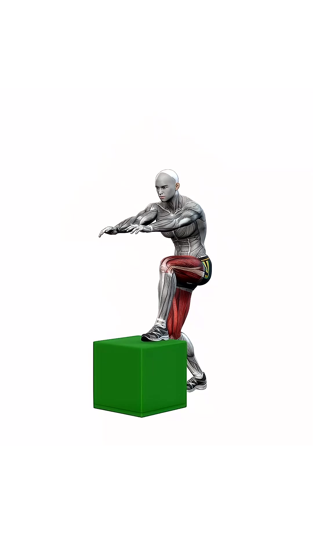 Box Jump Squats