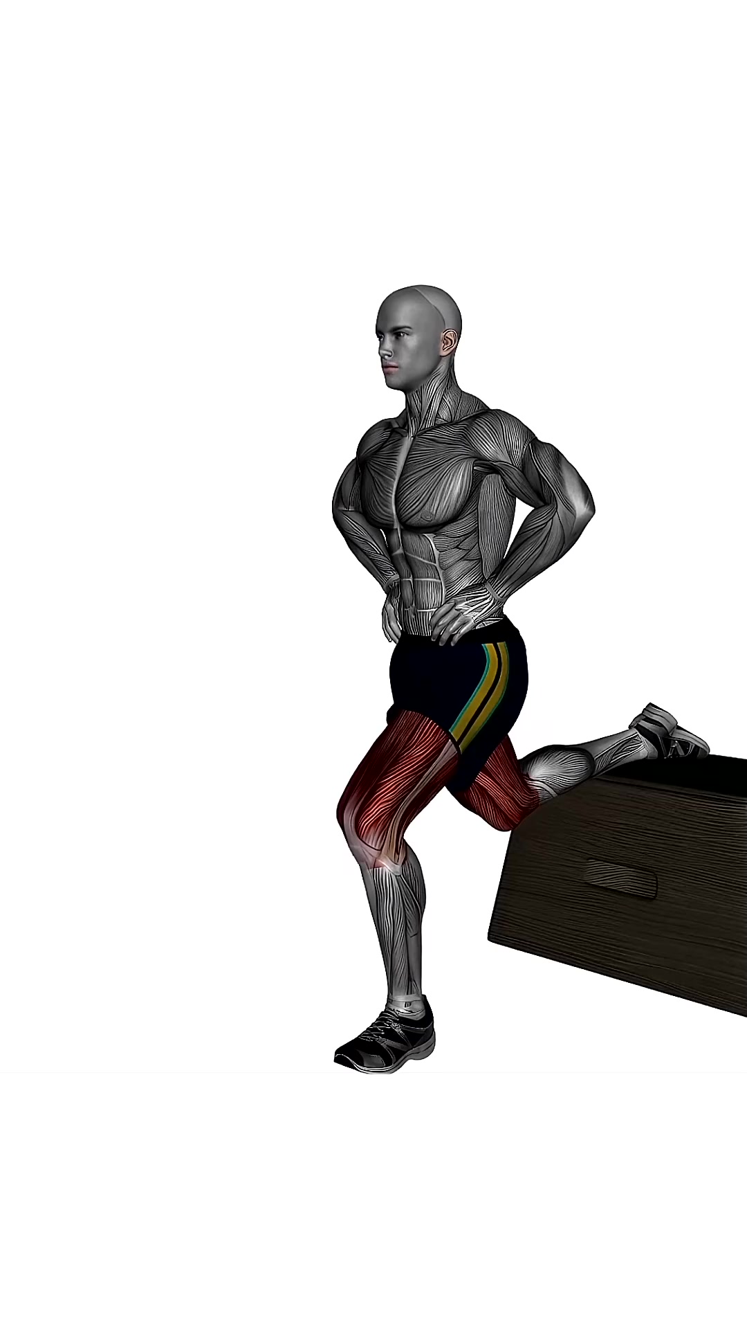 Bulgarian Split Squat Bodyweight Left