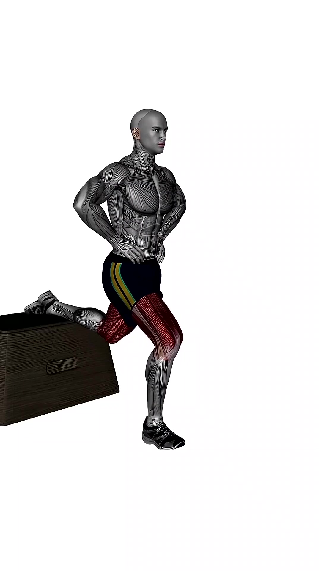 Bulgarian Split Squat Bodyweight Right