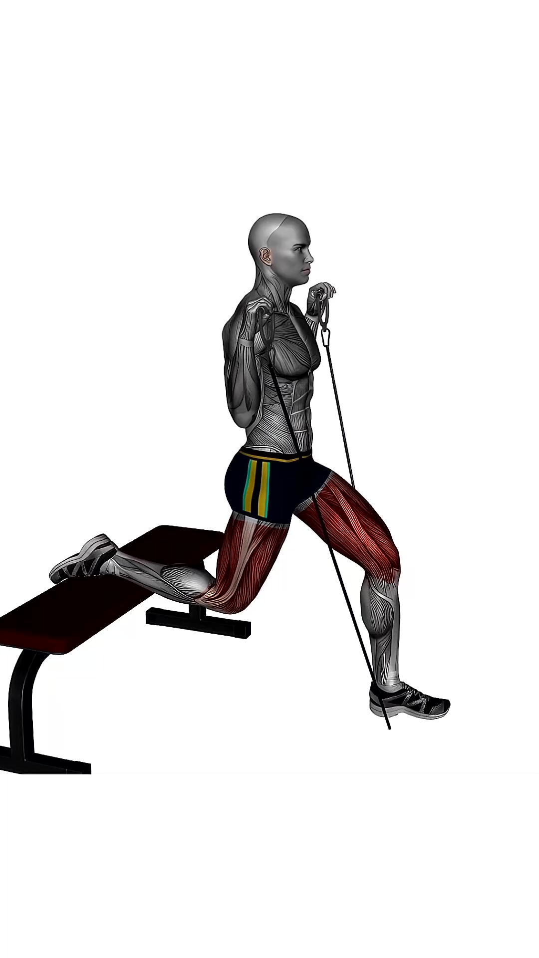 Bulgarian Split Squat Cable Resistance Band