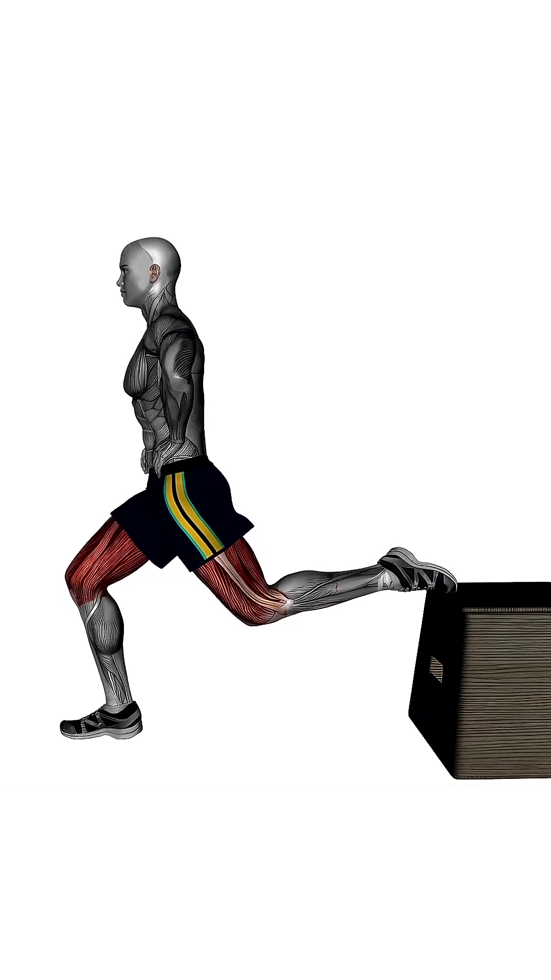 Bulgarian Split Squat Left Bodyweight Side View