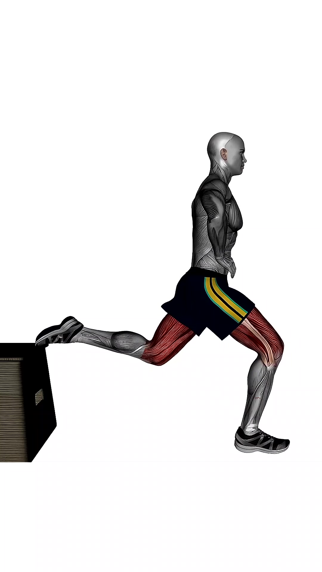 Bulgarian Split Squat Right Bodyweight Side View