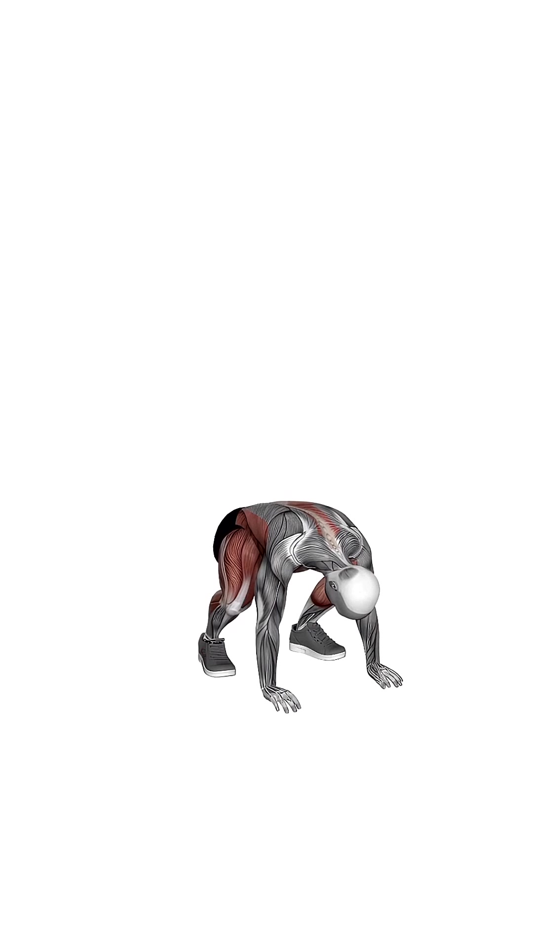 Burpee Squat