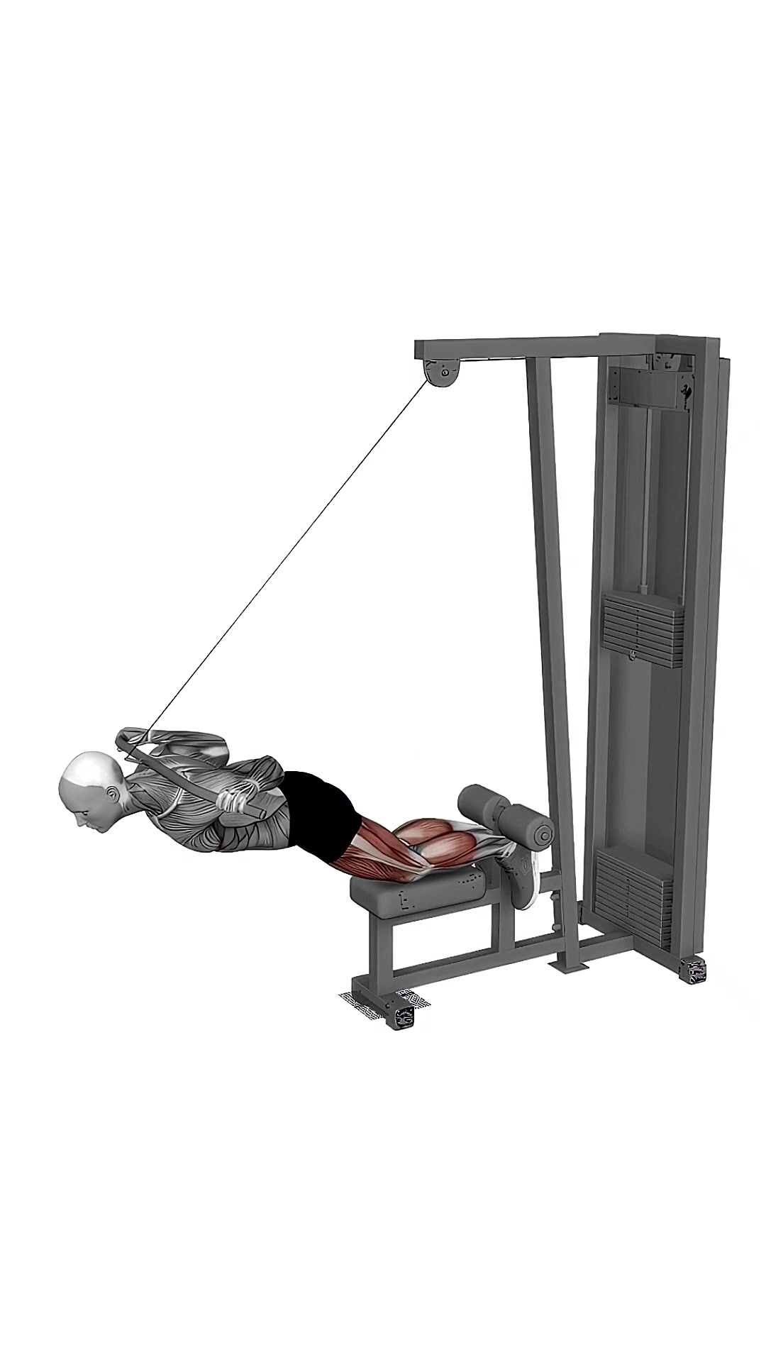 Cable Assisted Inverse Leg Curl