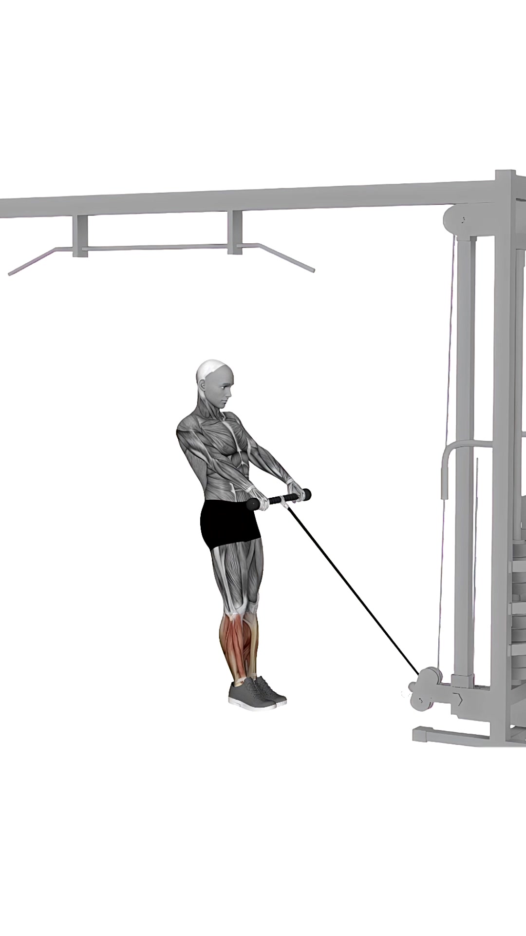 Cable Calve Raise