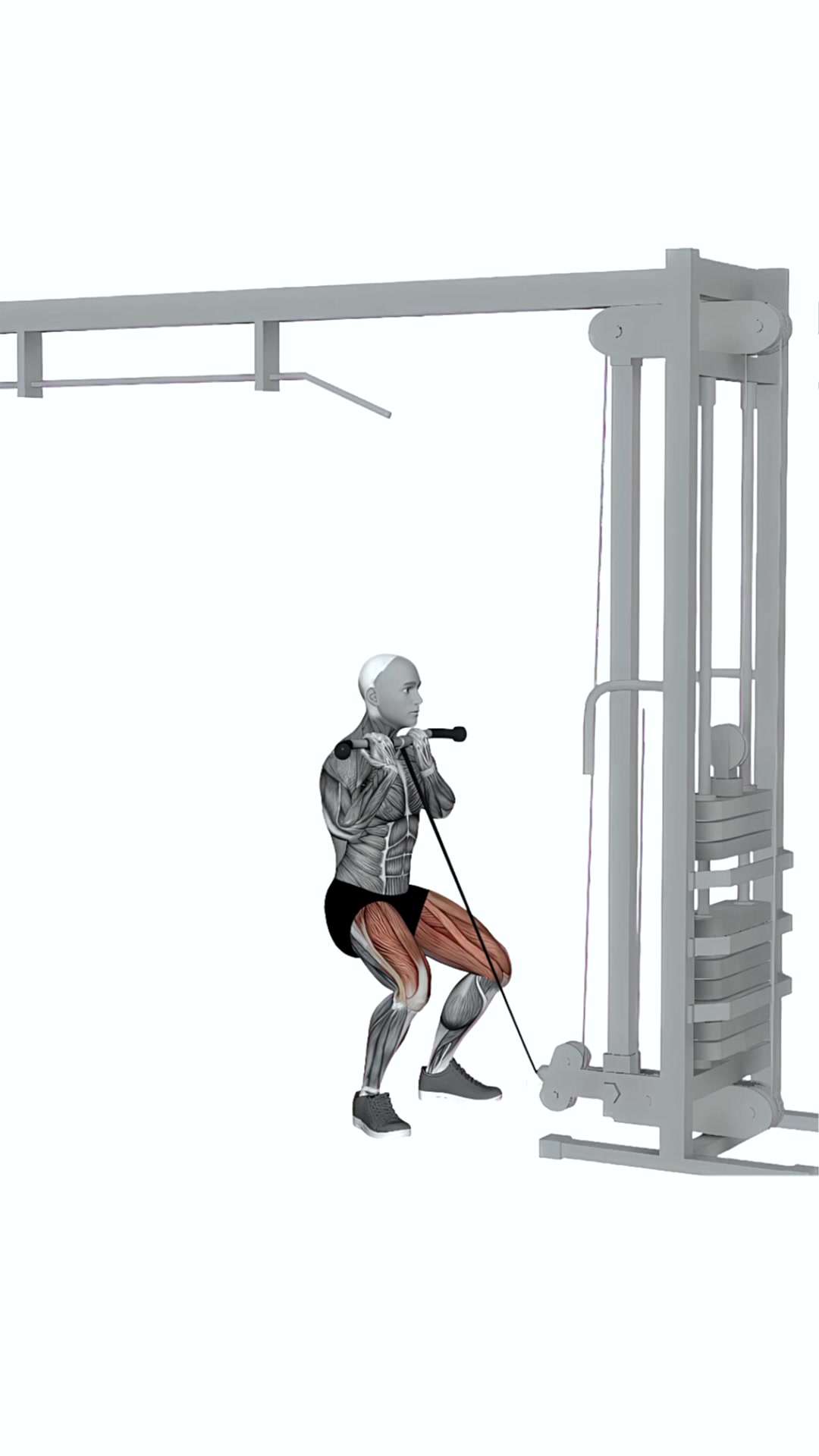 Cable Goblet Squat
