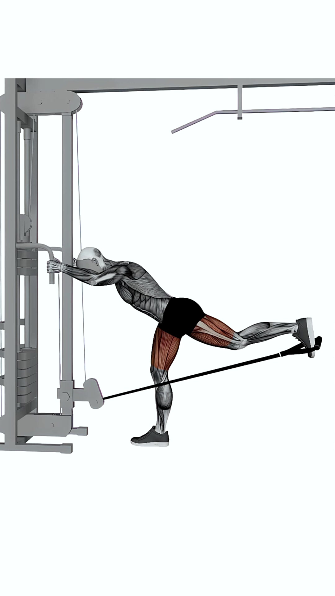 Cable Individual Glute Kickbacks