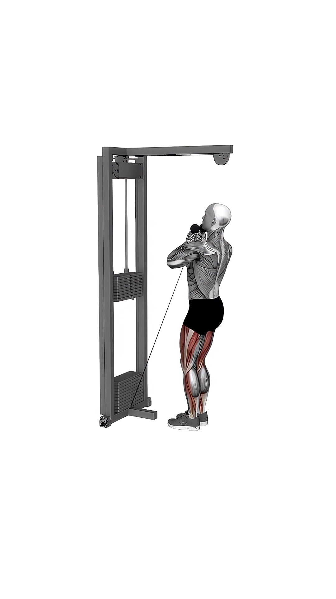 Cable Narrow Chair Stand-up