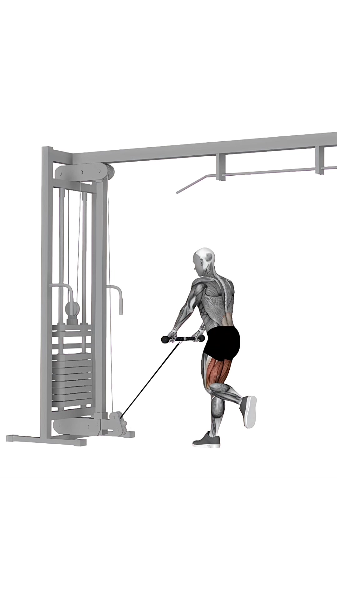 Cable Single Leg Deadlift