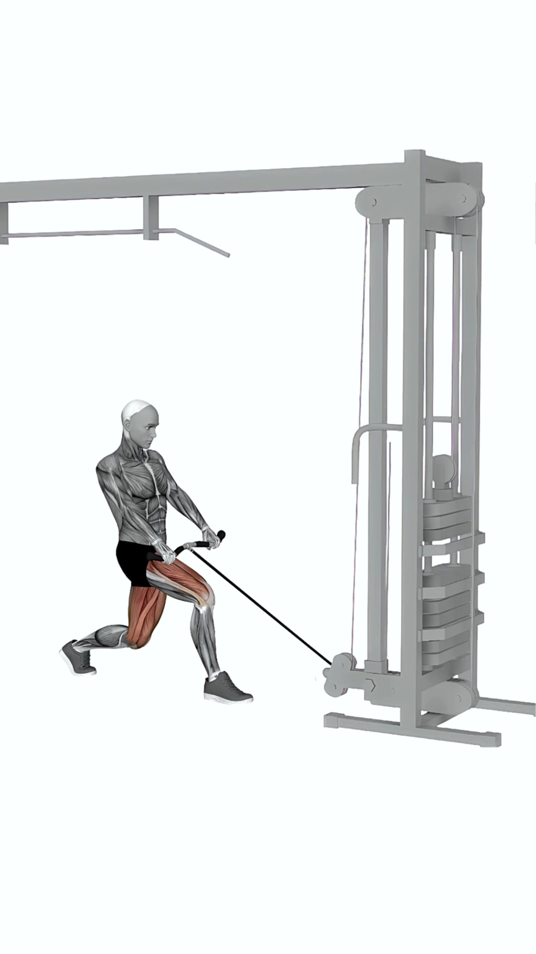 Cable Split Squat