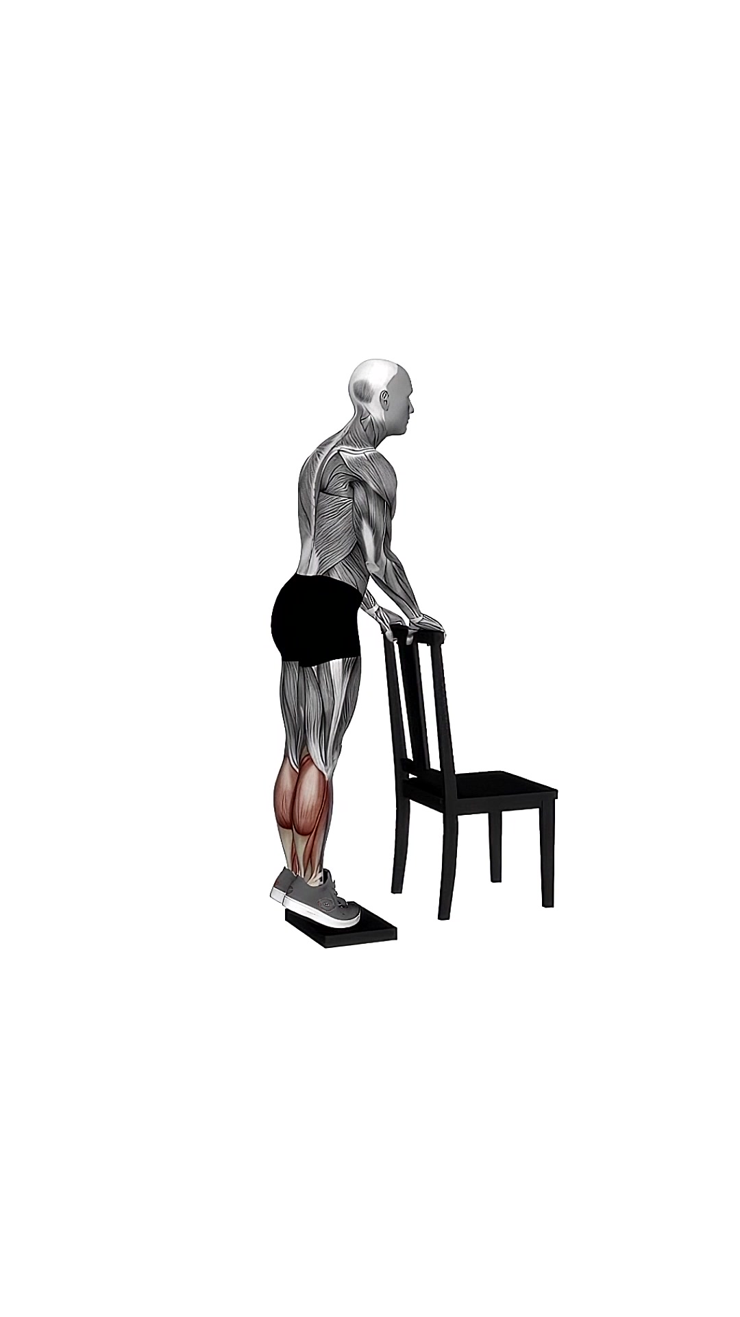 Calf Raise From Deficit With Chair Supported