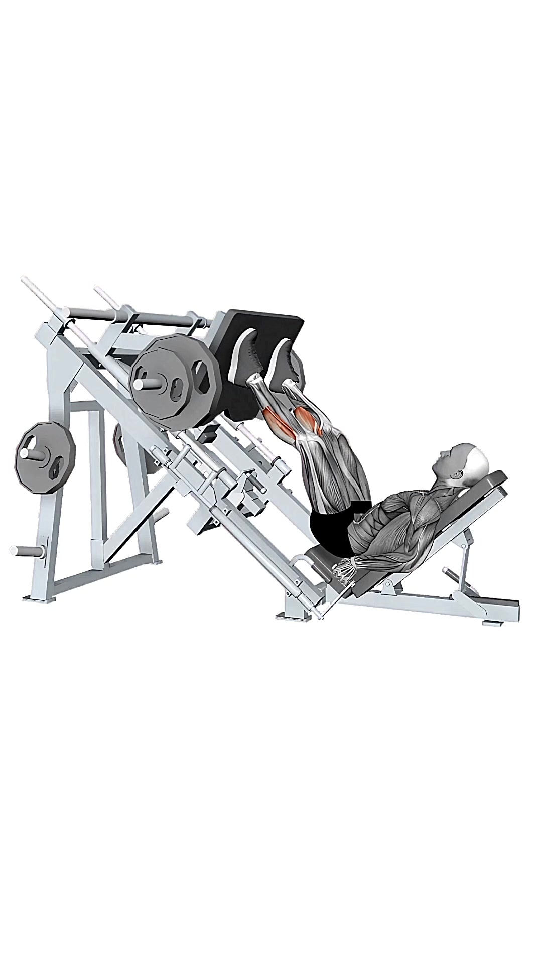 Calf Raise Leg Press Machine