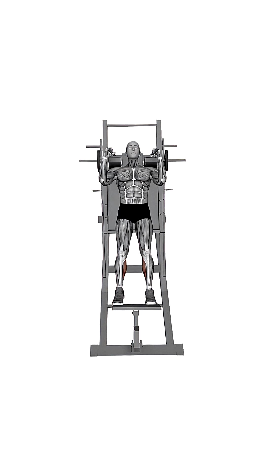 Calf Raise On Hack Squat Machine