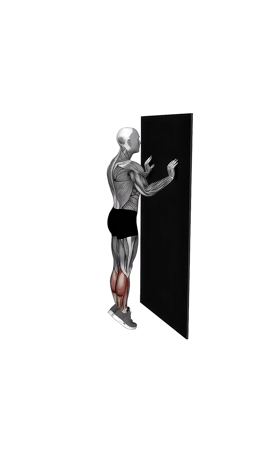 Calf Raise With Wall Support