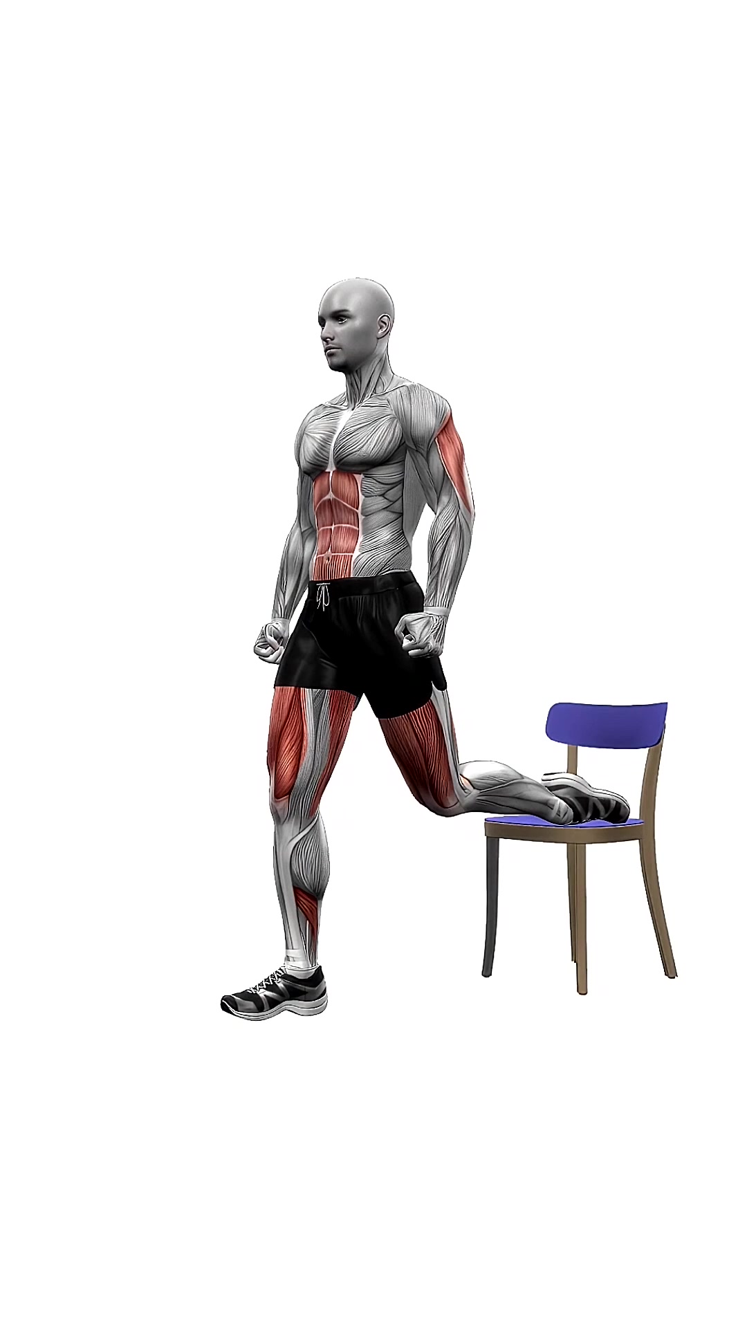 Chair Bulgarian Split Squats Bodyweight Left