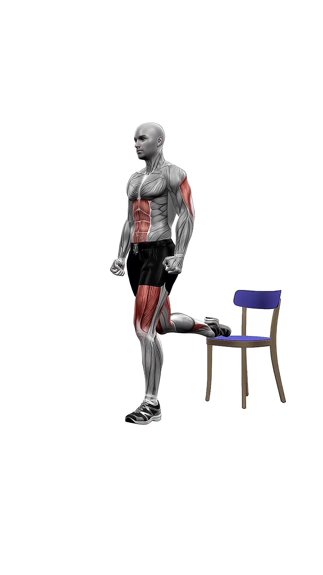 Chair Bulgarian Split Squats Bodyweight Right