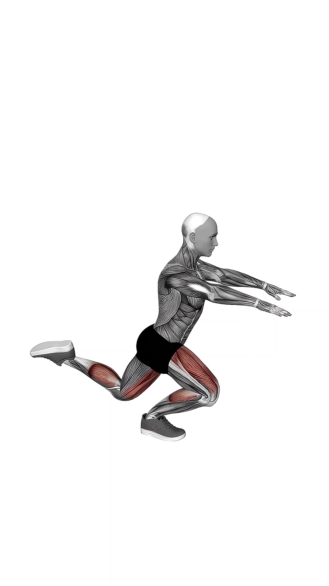 Counterbalanced Skater Squat