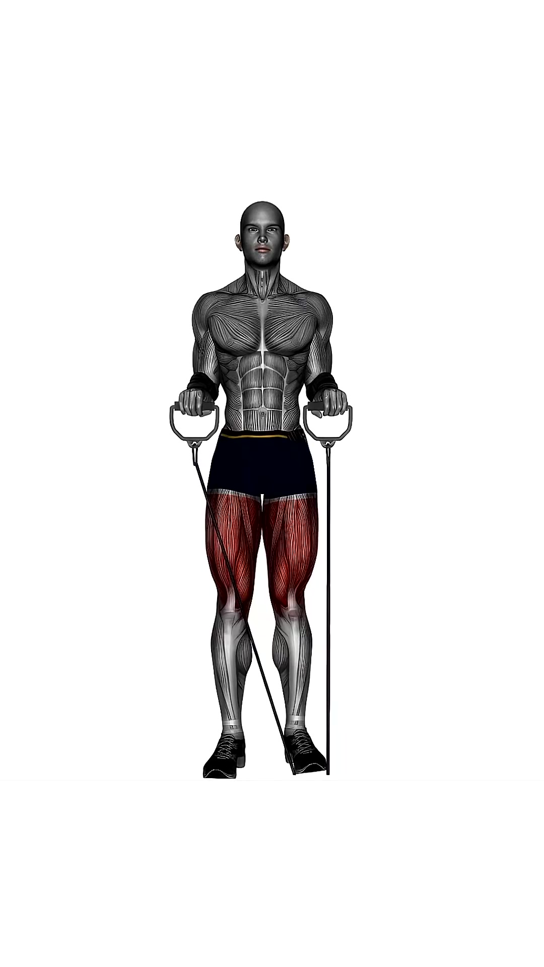 Curtsy Lunges Resistance Band