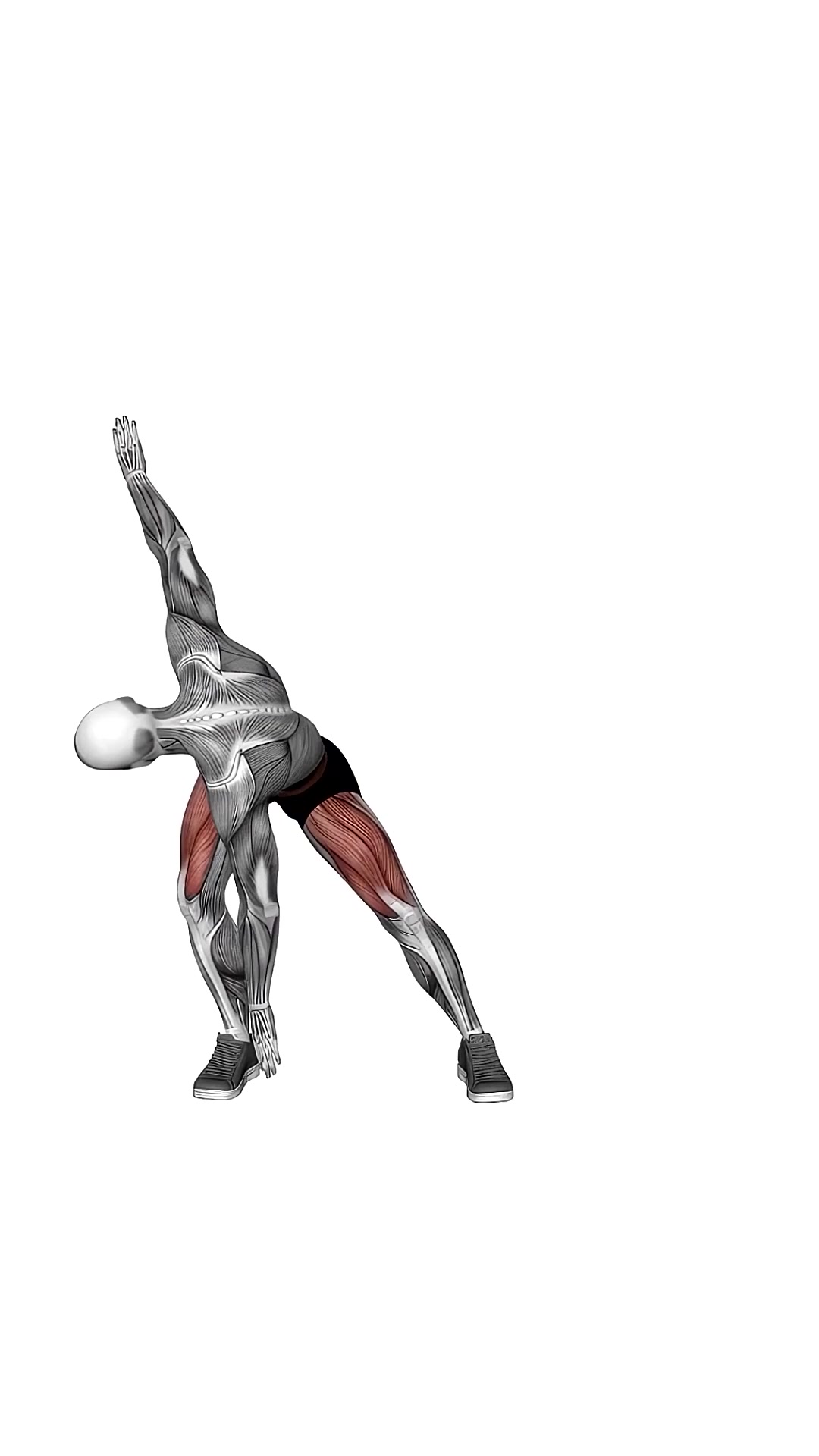 Diagonal Lunge