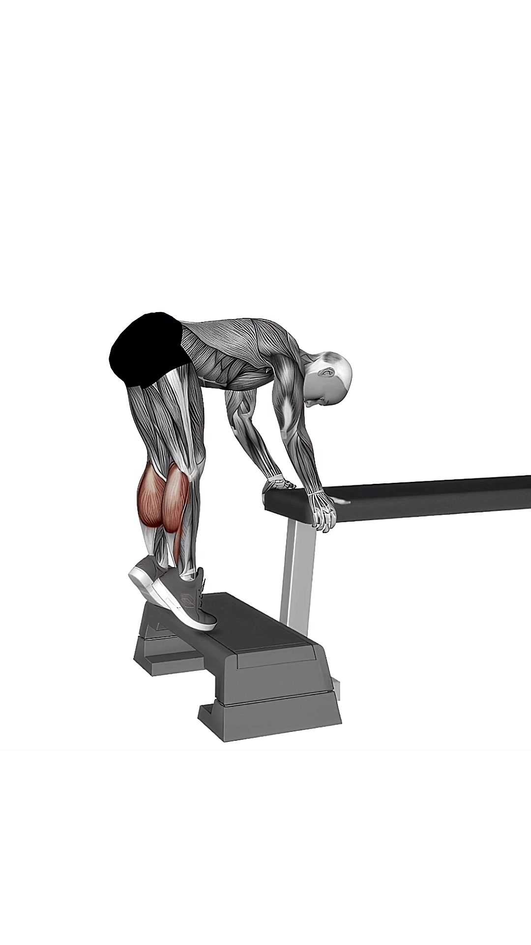 Donkey Calf Raise