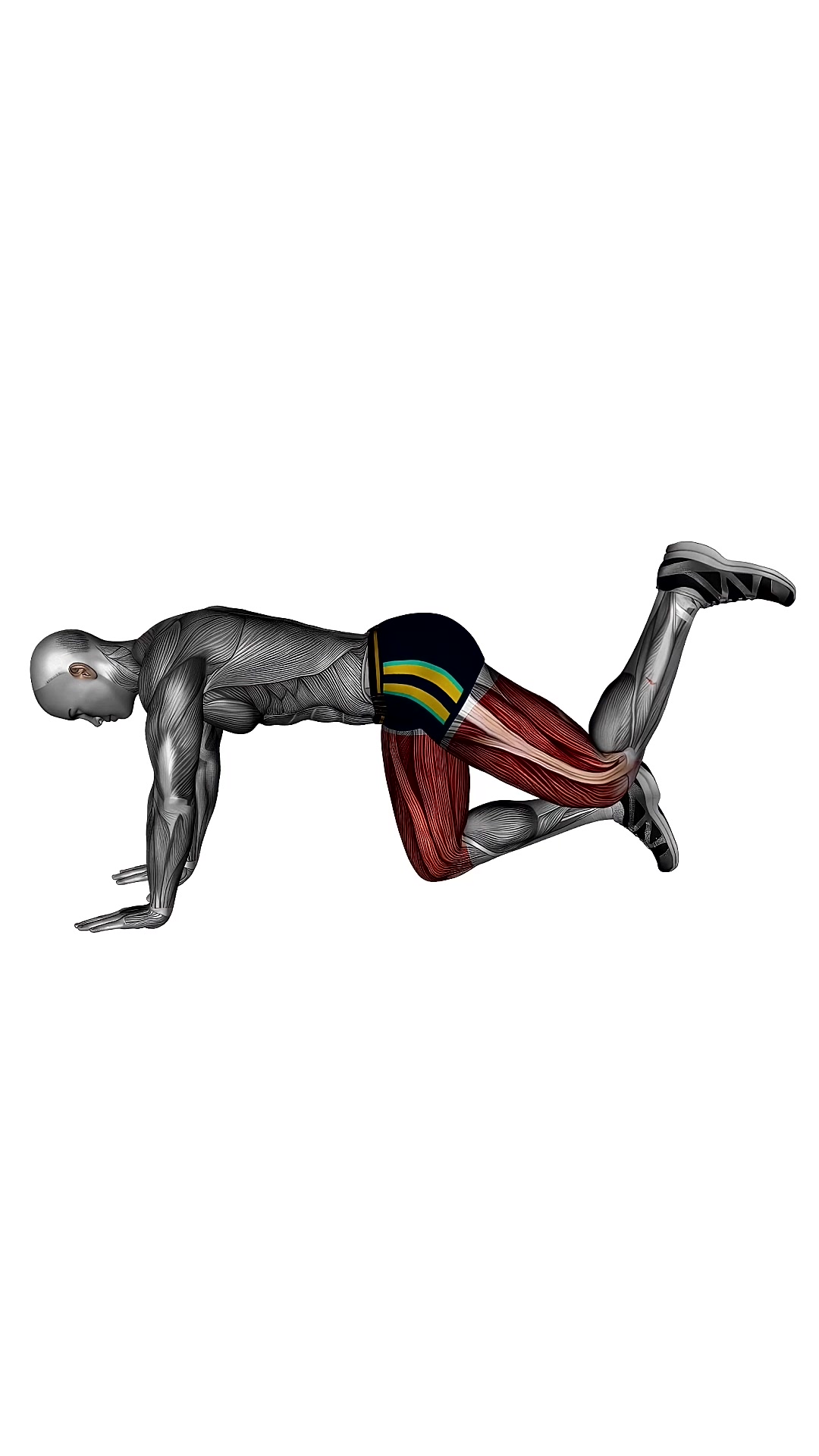 Donkey Kicks Bodyweight