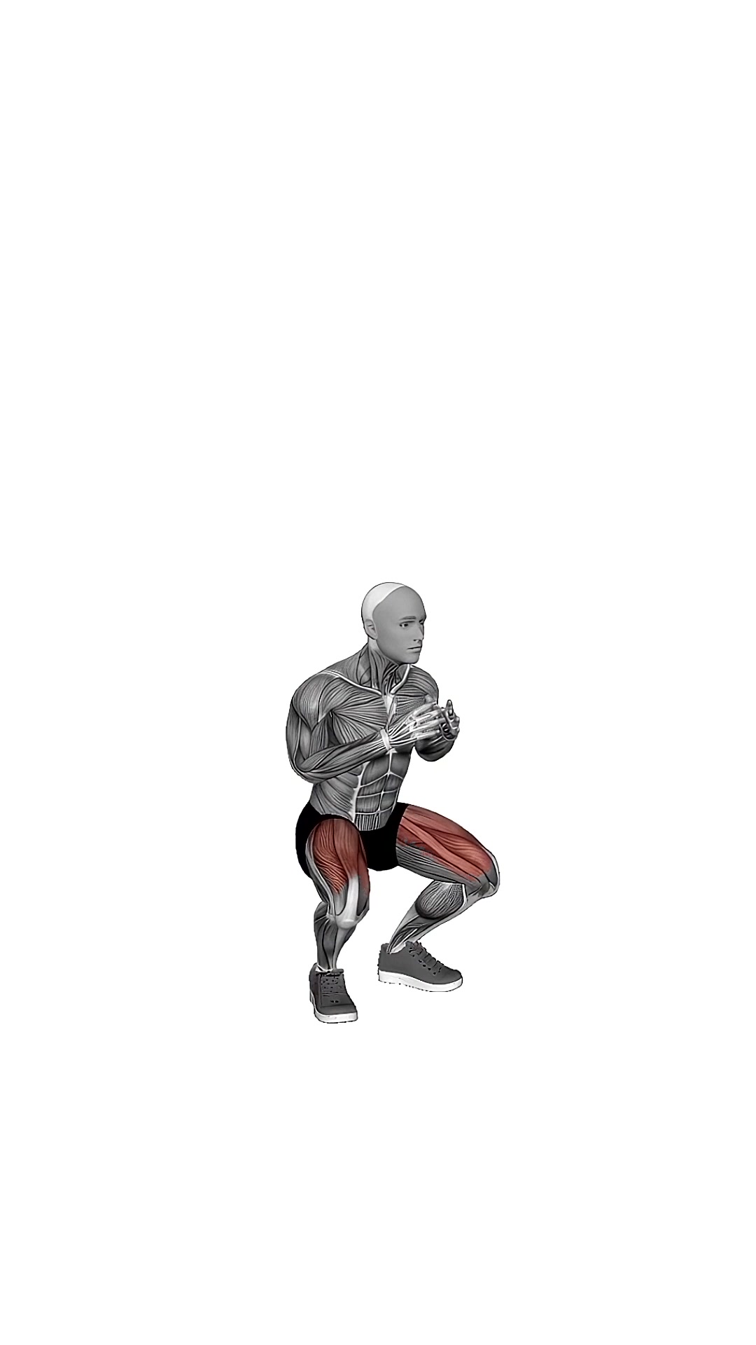 Double Jump Squat