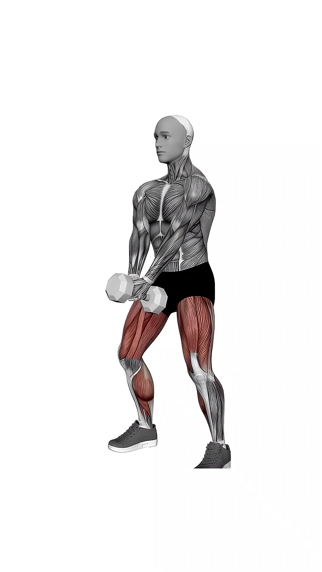 Dumbbell Bar Grip Sumo Squat