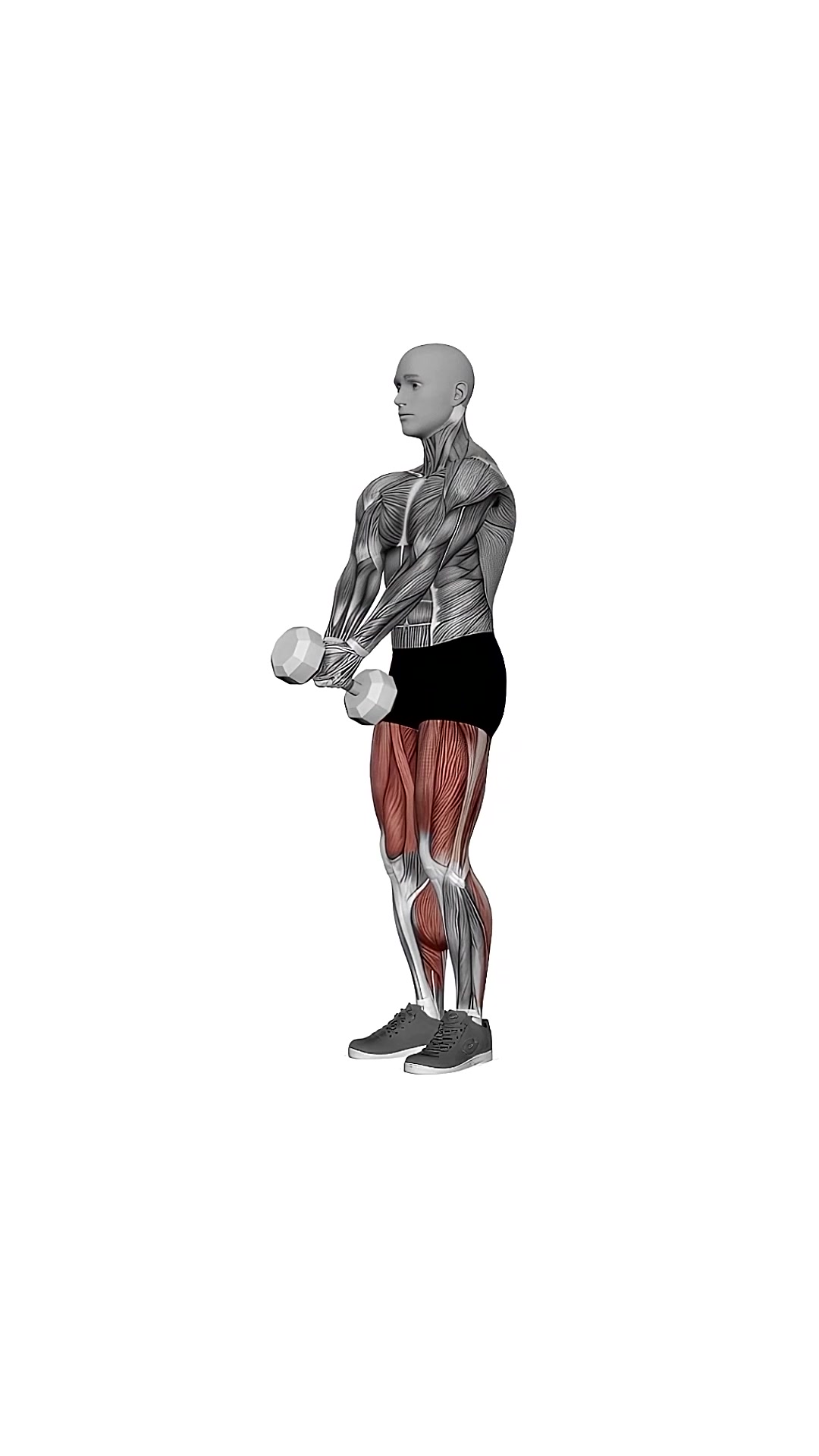 Dumbbell Close Legs Deadlift