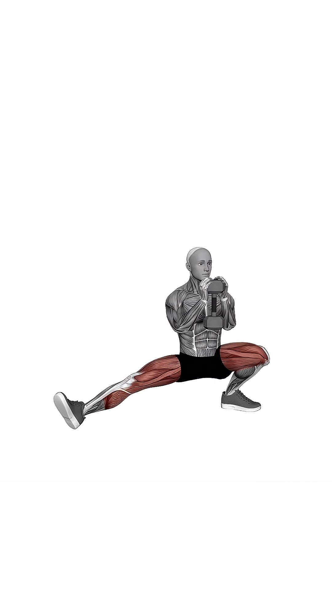 Dumbbell Cossack Squats (version 2)