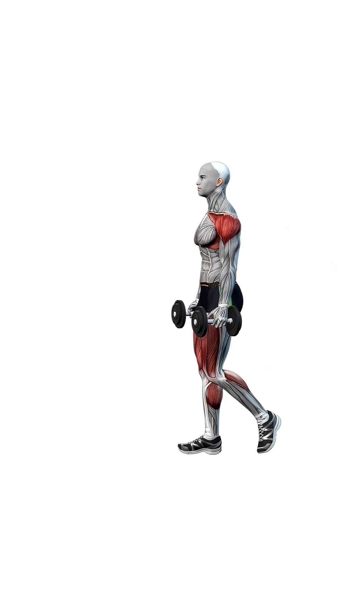Dumbbell Farmer Walks