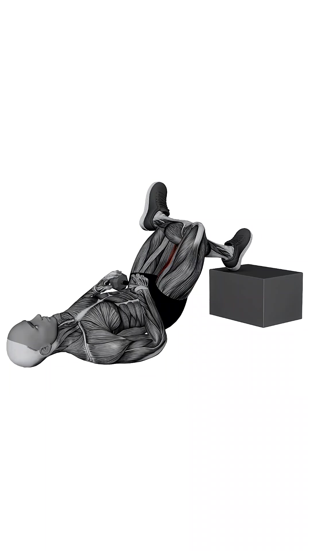 Dumbbell Feet Elevated Figure Four Glute Bridge