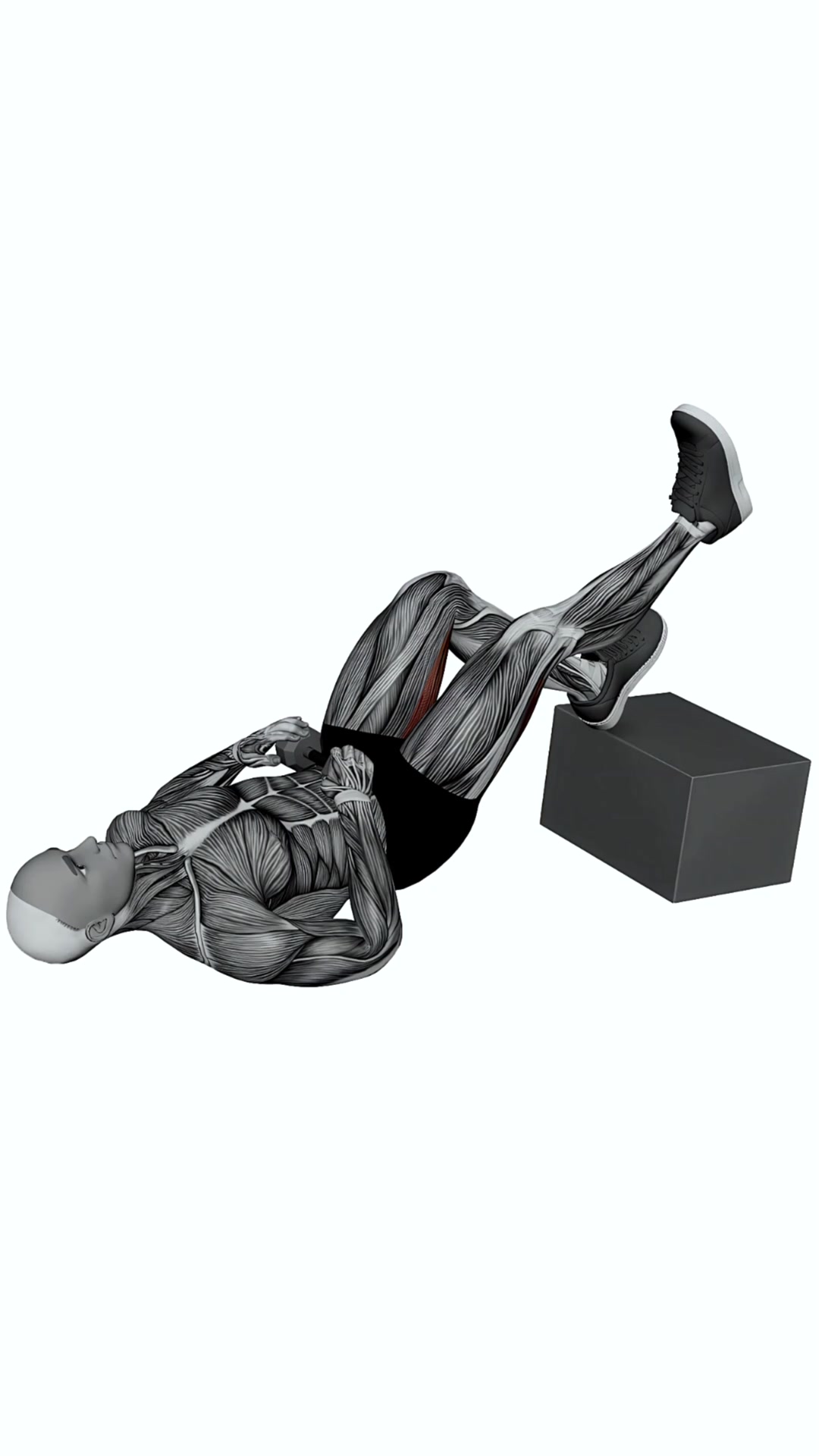 Dumbbell Feet Elevated Single Leg Glute Bridge