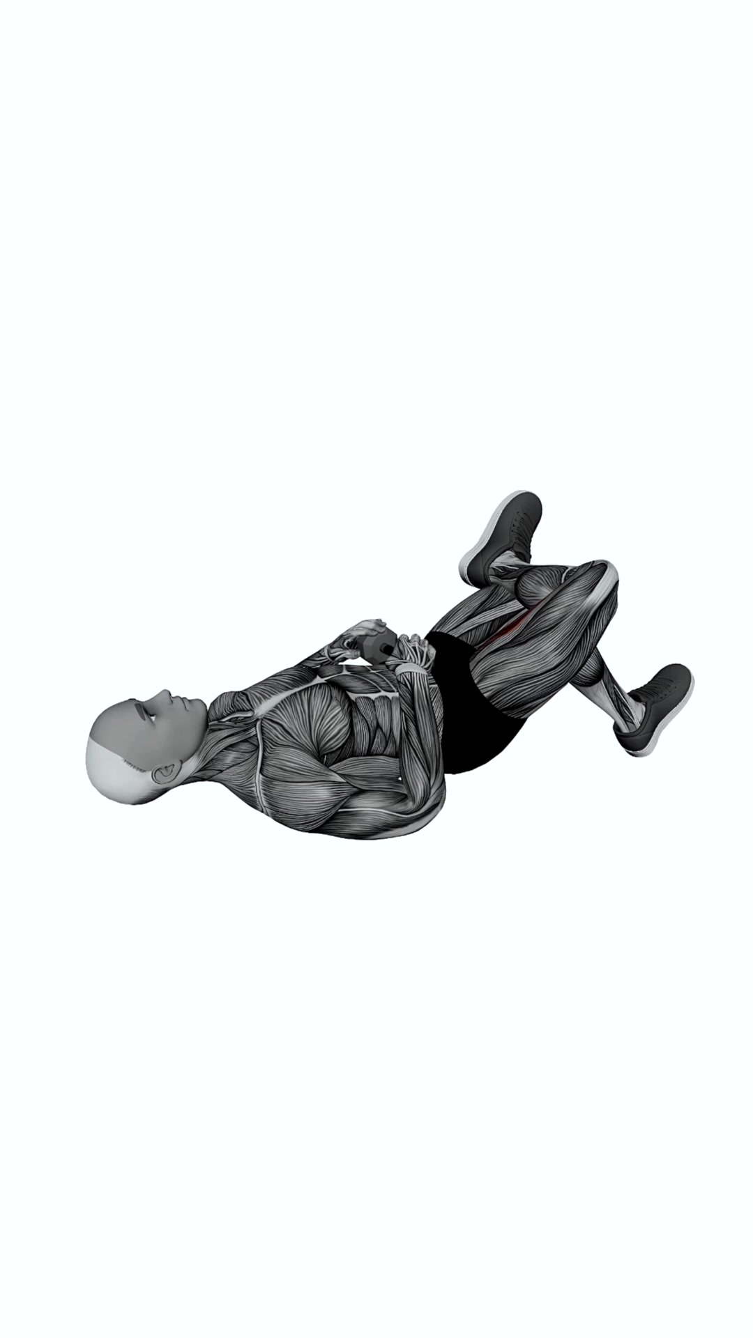Dumbbell Figure Four Glute Bridge
