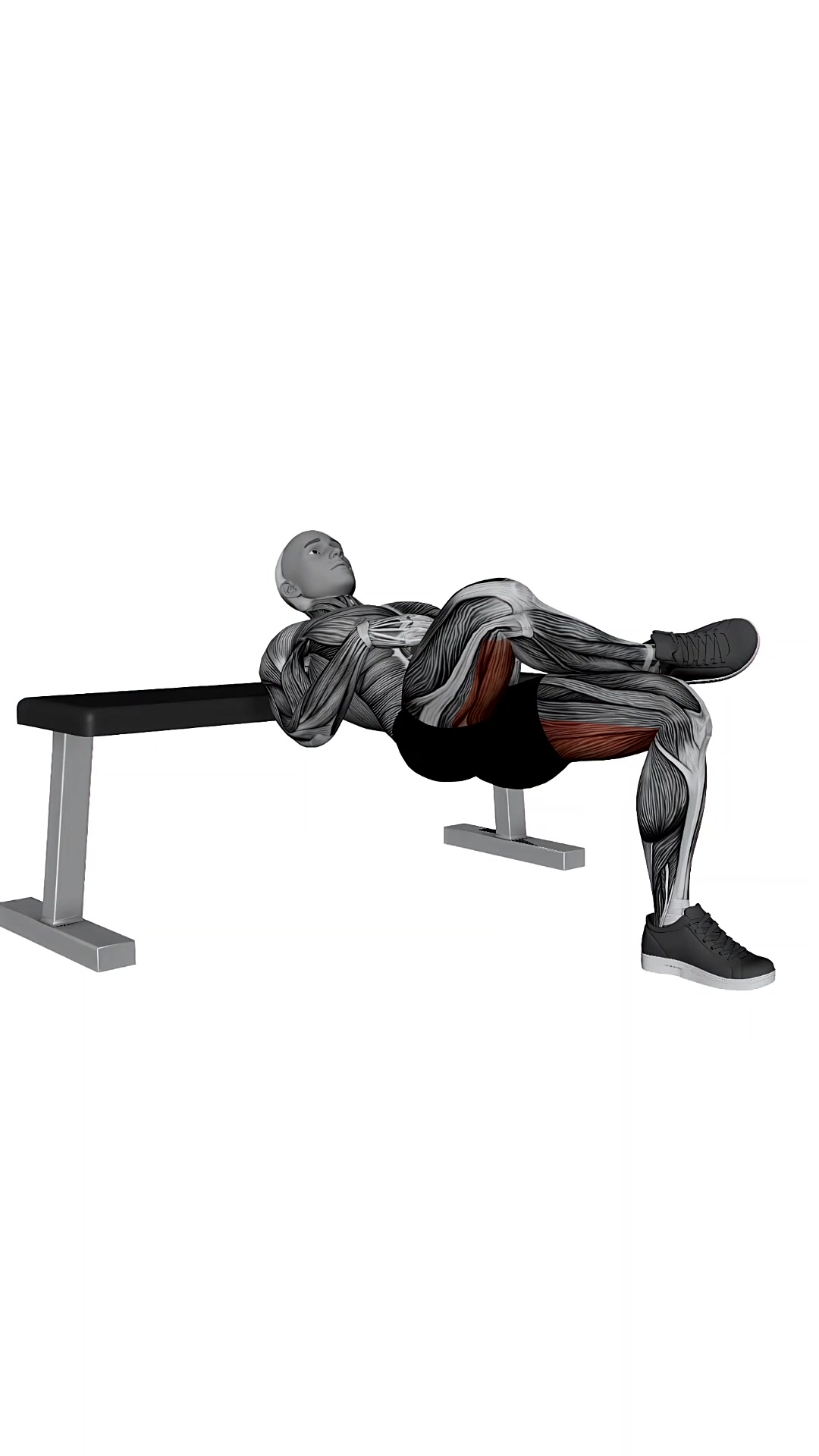 Dumbbell Figure Four Hip Thrust