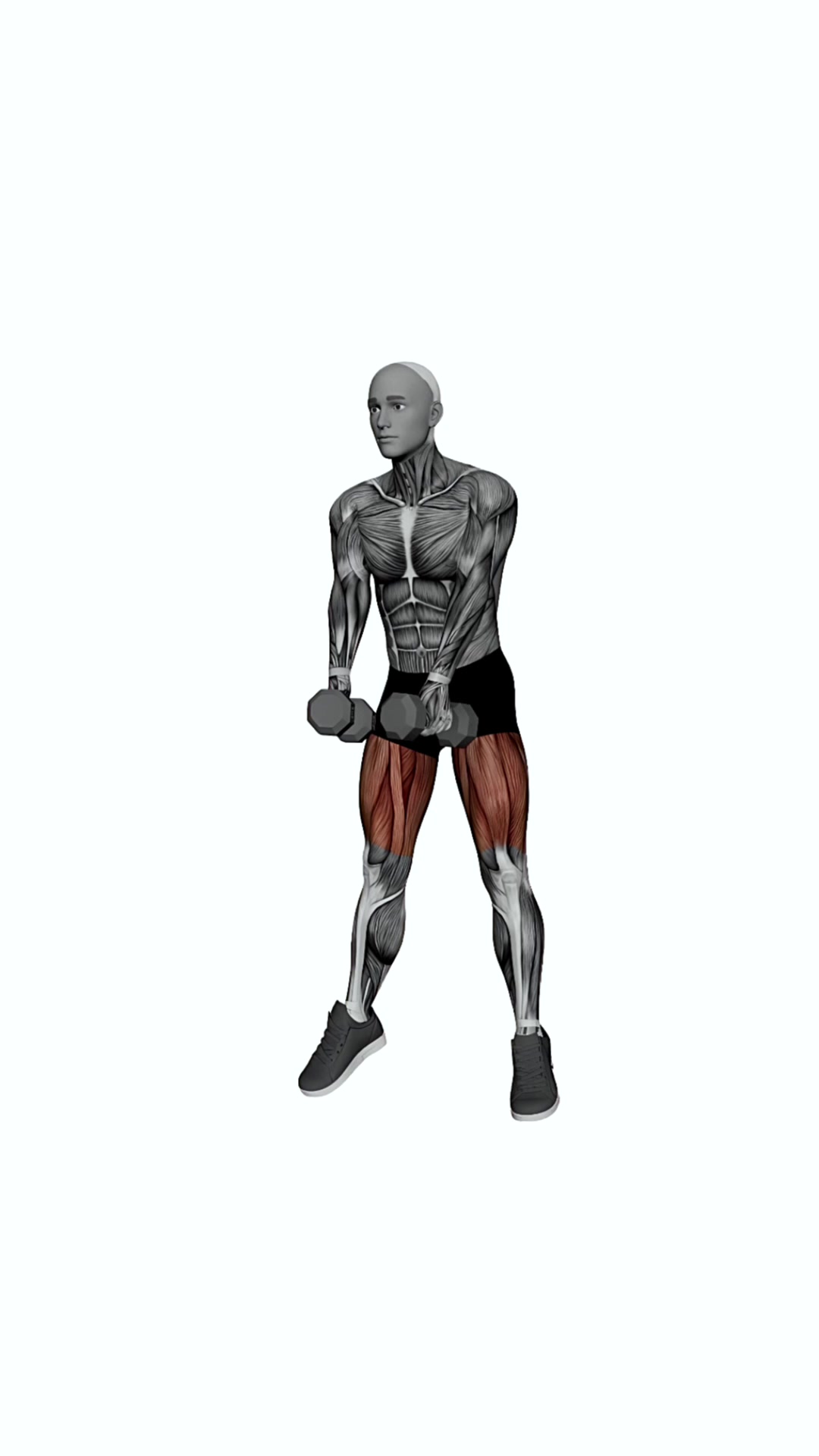 Dumbbell Frog Jumps