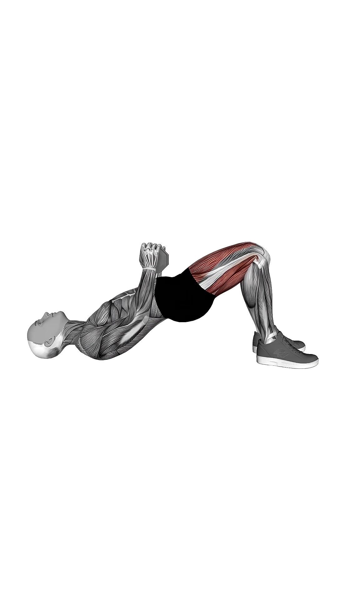 Dumbbell Glute Bridge