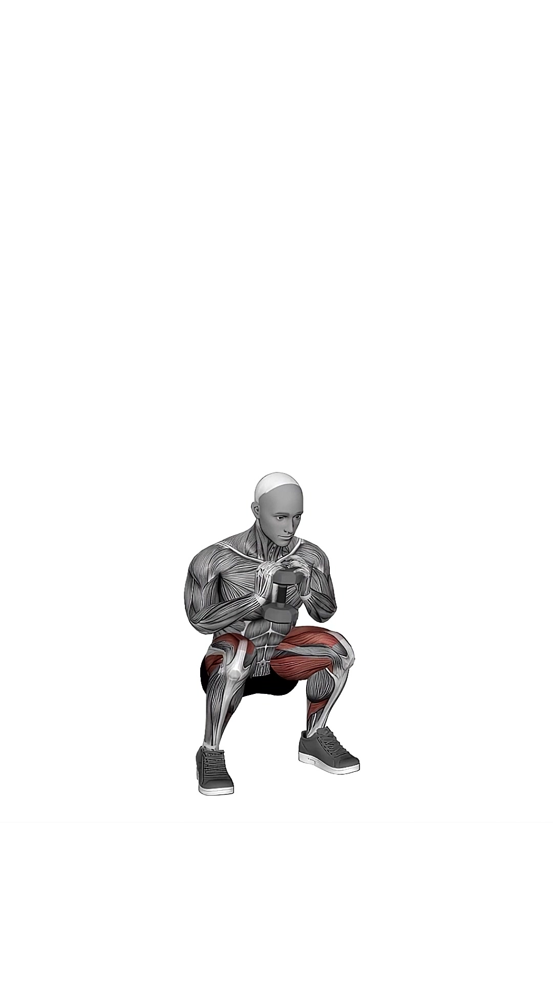 Dumbbell Goblet 2 Sec Hold Squat