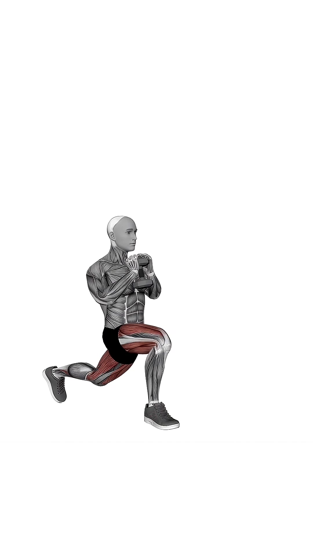 Dumbbell Goblet Curtsy Lunge