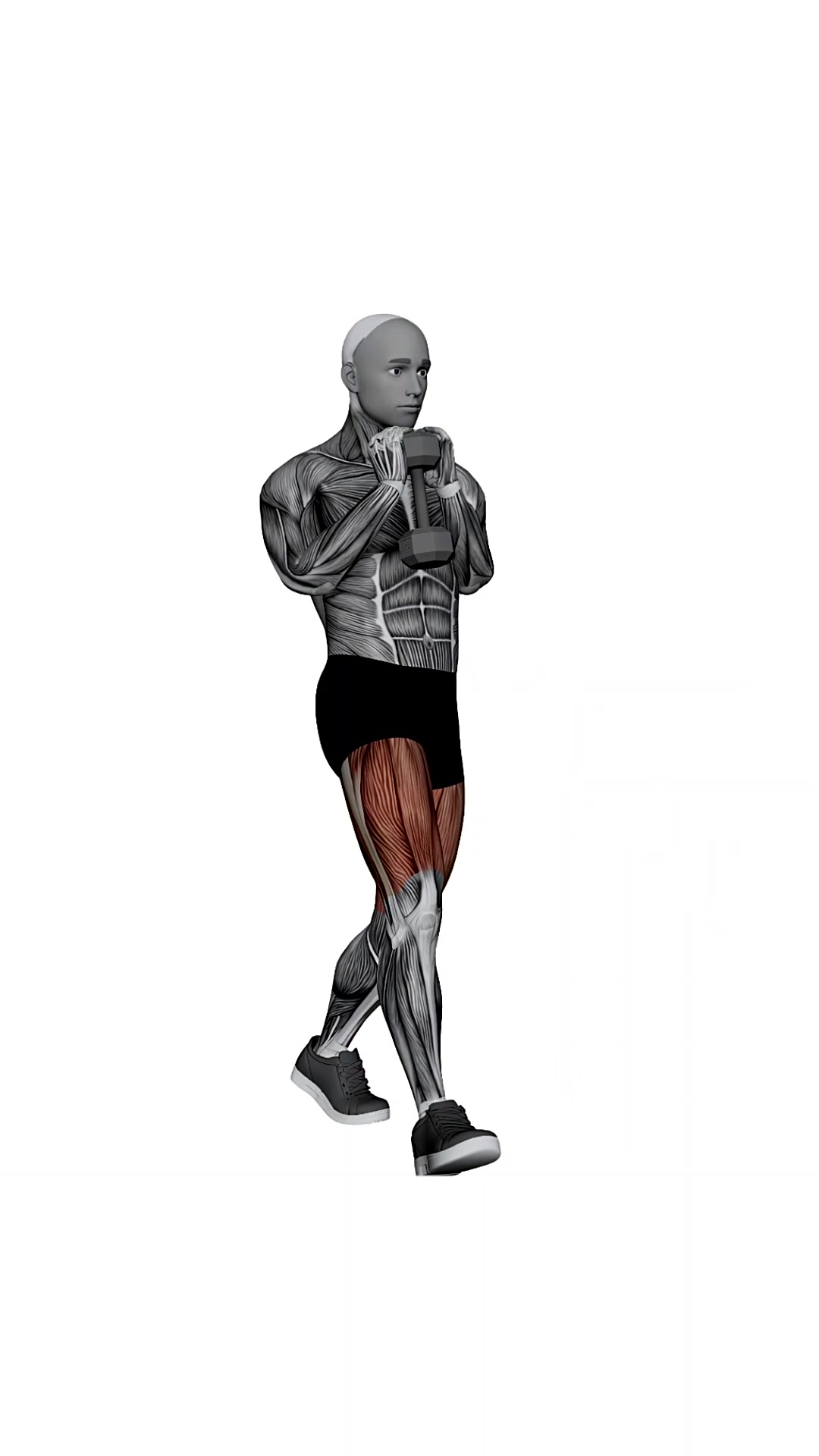 Dumbbell Goblet Forward Lunge
