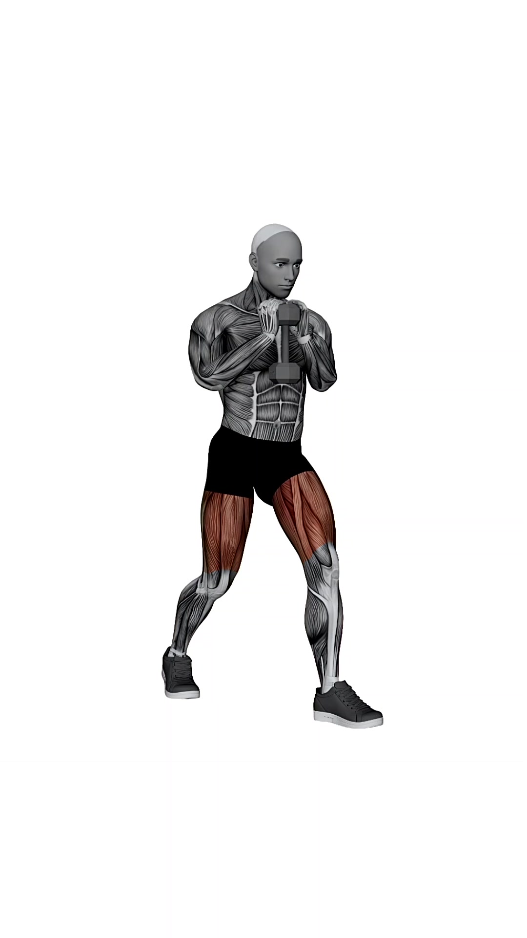 Dumbbell Goblet Reverse Lunge