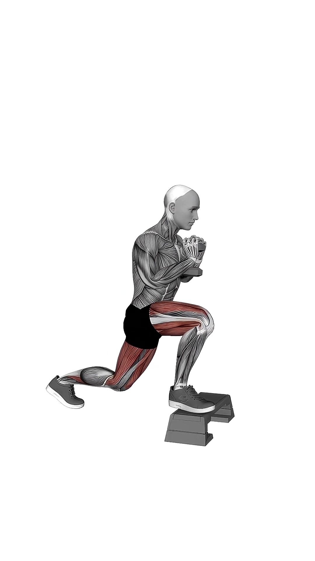 Dumbbell Goblet Split Squat Front Foot Elevanted