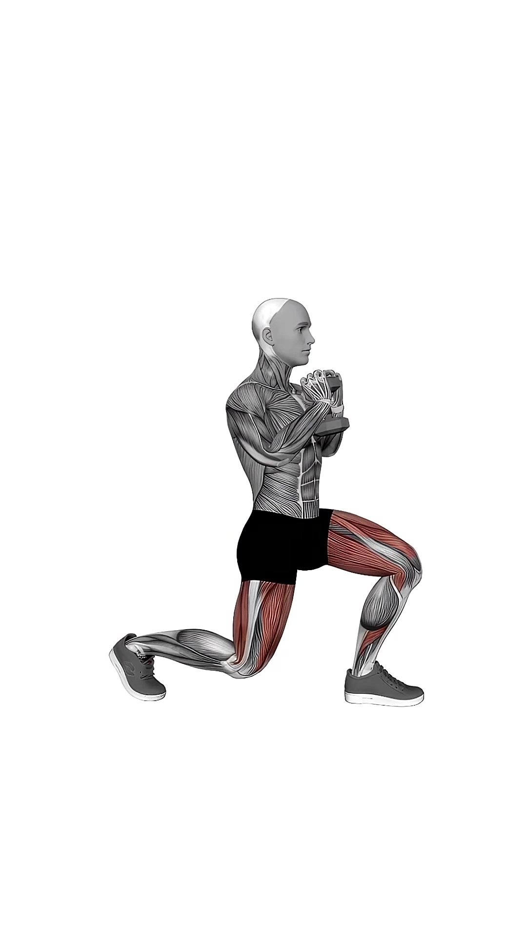 Dumbbell Goblet Split Squat
