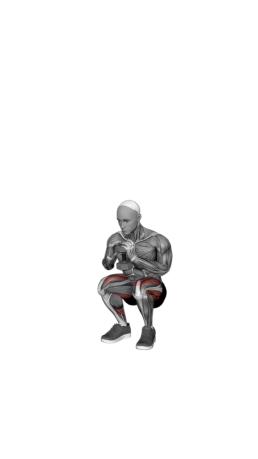 Dumbbell Goblet Squat