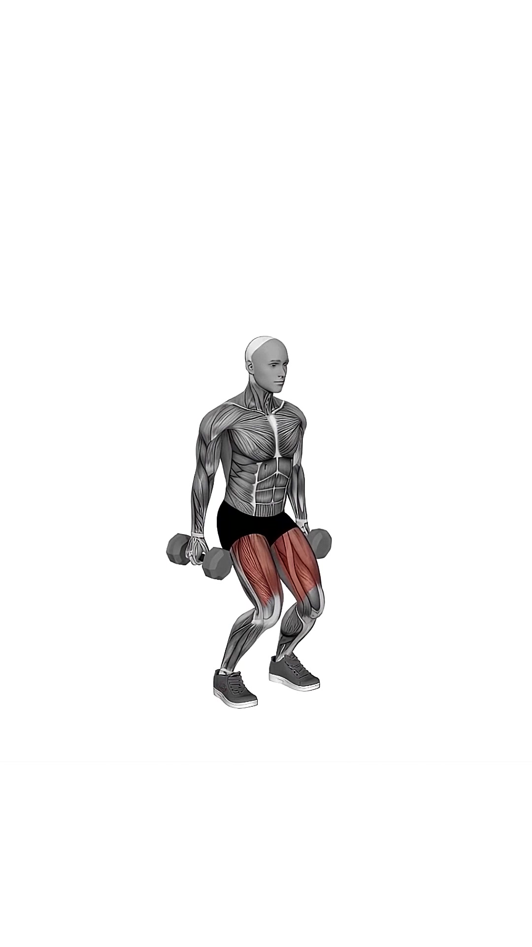Dumbbell Jumping Squat
