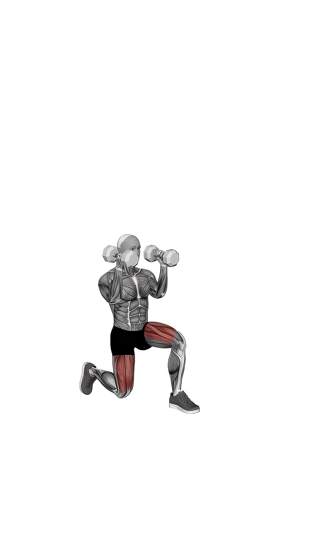 Dumbbell Kneeling Hold To Stand Clean Grip