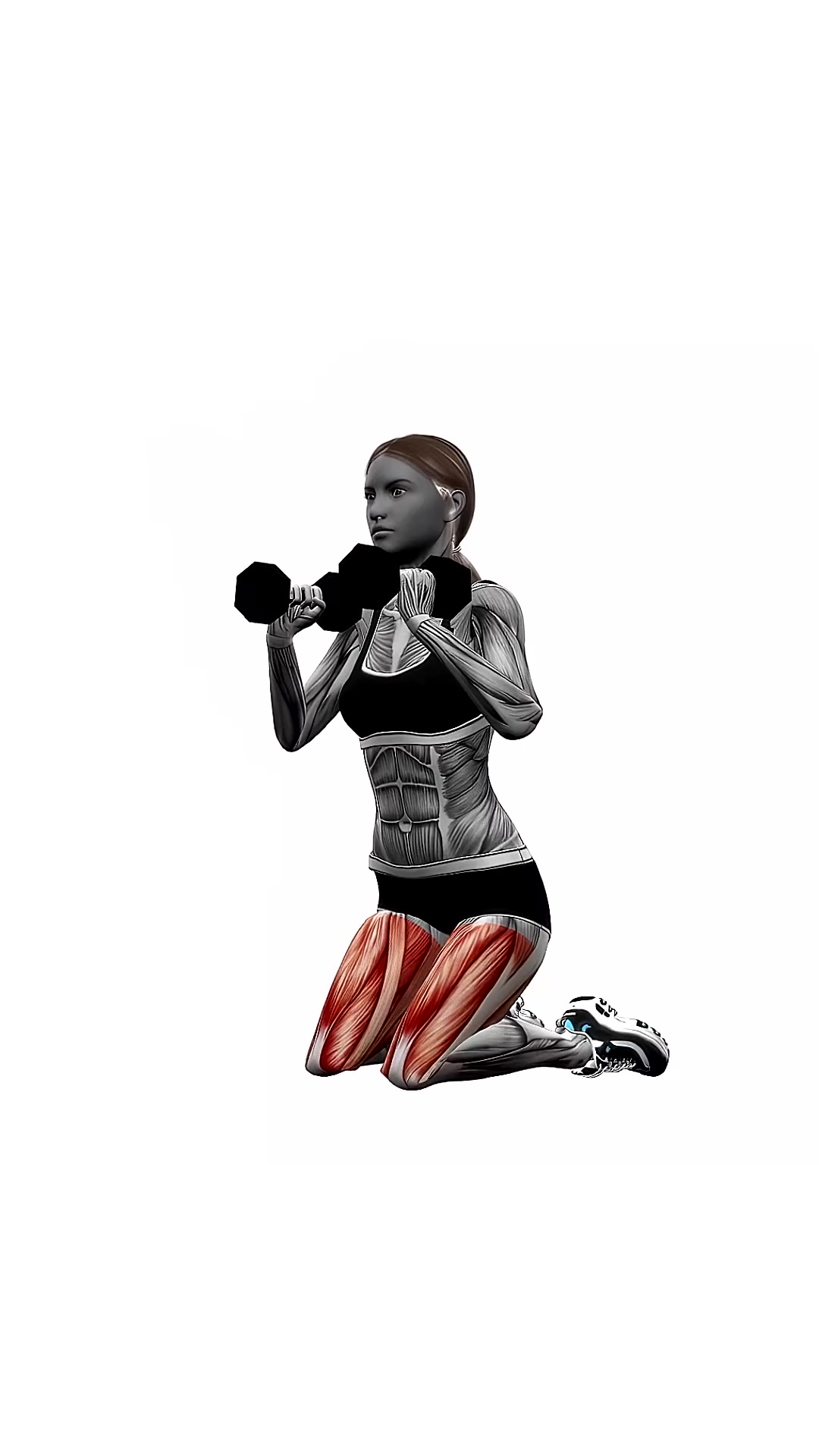 Dumbbell Kneeling Squat